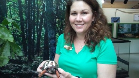 Photo of Rachel Tolman (Long Branch Park Naturalist) holding turtle, by Lisa Stern