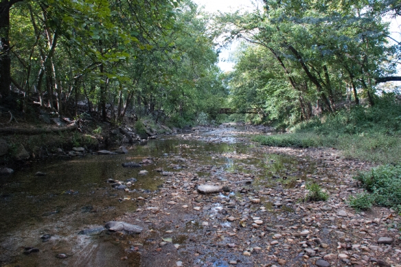 Photo of Four Mile Run Stream at Barcroft Park