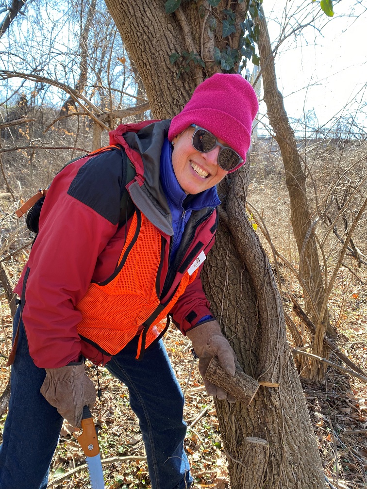 ARMN volunteer Caroline Hayes holds a piece of English ivy vine that was sawed off a tree.