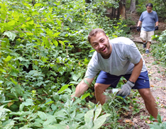 Photo of a volunteer looking at the camera while leaning over to pull an invasive plant