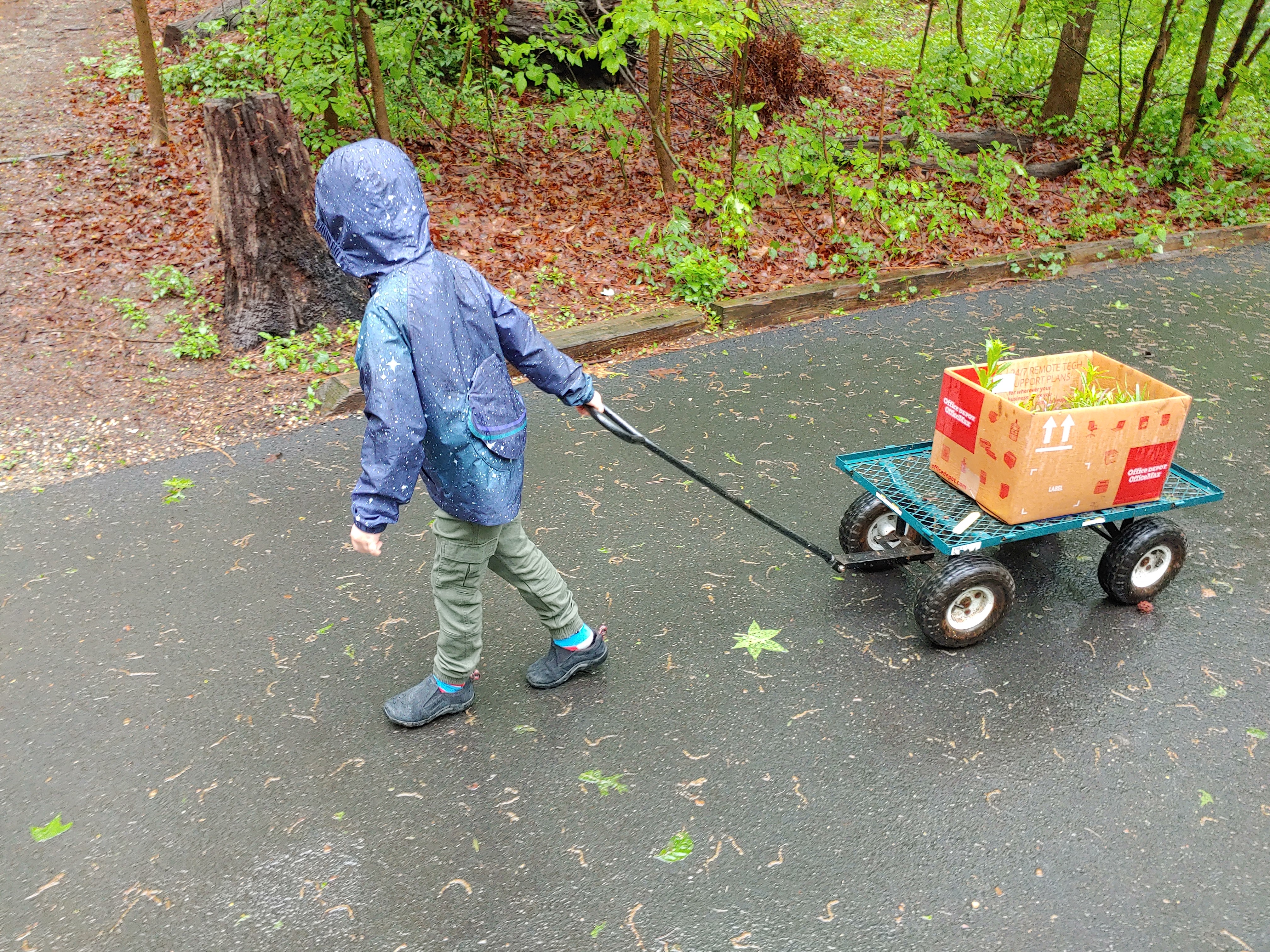 Photo of a boy in a raincoat pulling a box with plants on a wagon