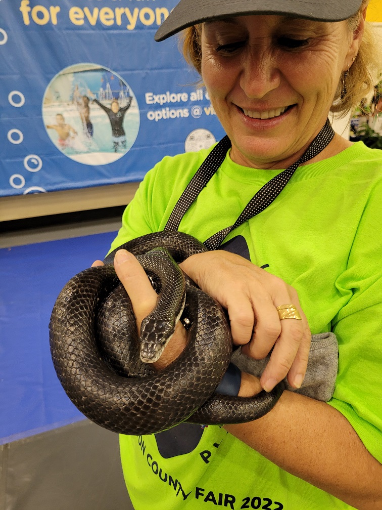 A volunteer in a green shirt holds a black snake that is curled around her hand.